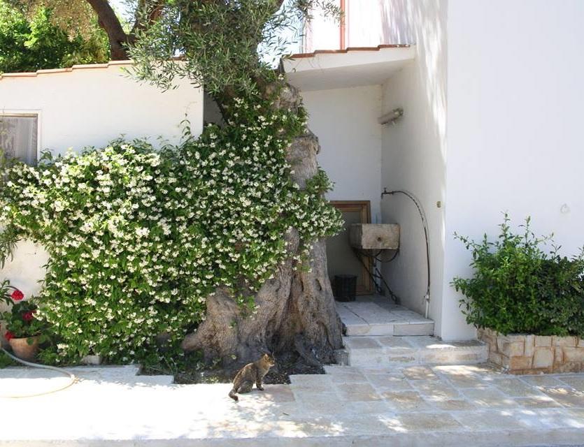 Masseria Conca D'Oro Ostuni Extérieur photo